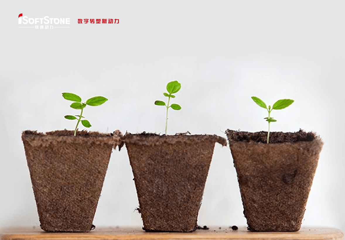 学術的継続可能の革命精神で地方の子供たちに愛を渡す——iSoftStoneは再び公共福祉教育を支援する。。。。。